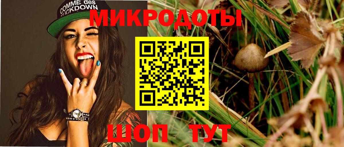 Галлюциногенные грибы прущие грибы Усть-Илимск