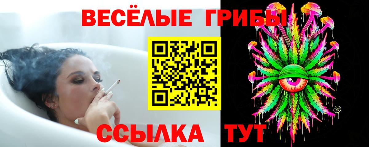 Псилоцибиновые грибы MAGIC MUSHROOMS  Вход с VPN  Усть-Илимск 